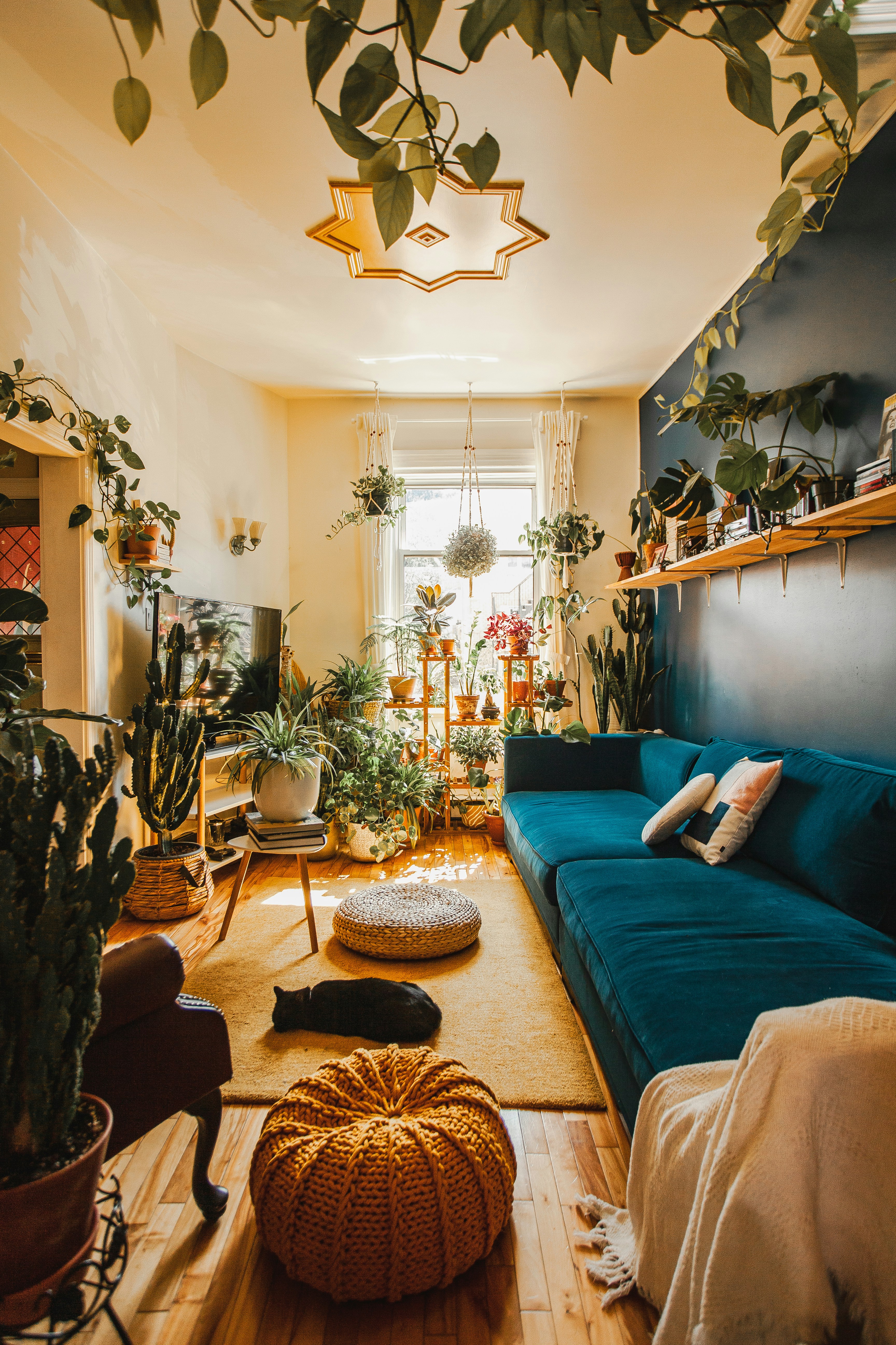 Home Decor 9