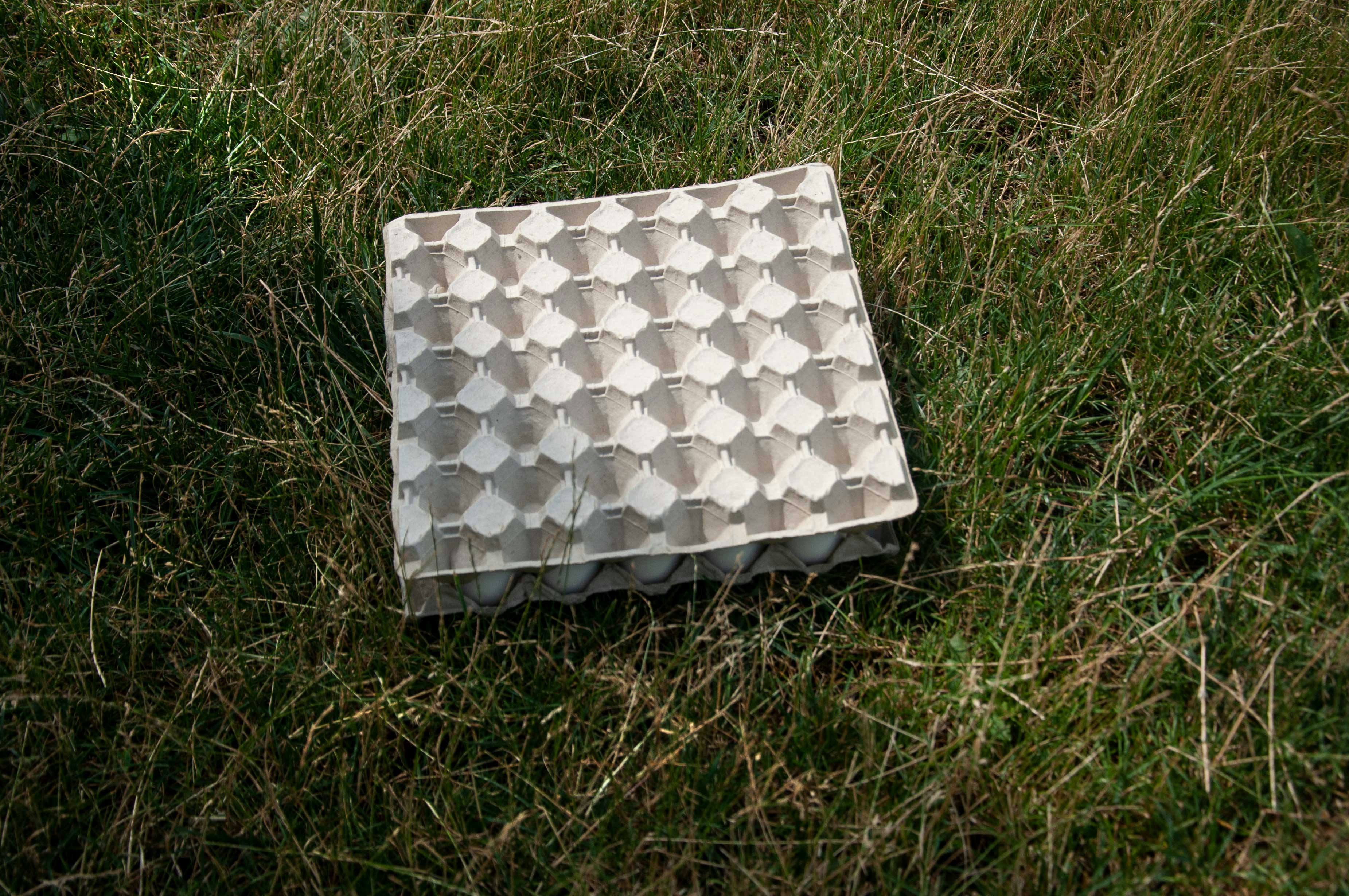 plastic 10